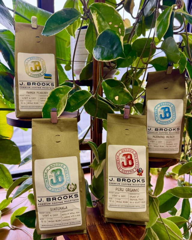 Where is this magical tree that grows @jbrookscoffee blends, and how do I get one?? ☕😋

Light roast coffee offers the widest range of flavor notes and they are so wonderful. 💕 

Notes of citrus, stone fruit, florals, herbals... enjoying a light roast is always an adventure!

Are you a light roast coffee drinker? 

🛍️Try a new blend, send a gift to a friend who loves coffee, or order another bag of your favorite: 

🔗jbrookscoffeeroasters.com

#coffeeallday #coffeeaddict #coffeelover #morecoffeeplease #lightroast #lightroastcoffee #supportsmallbusinessowners #901memphis #christianbusiness
